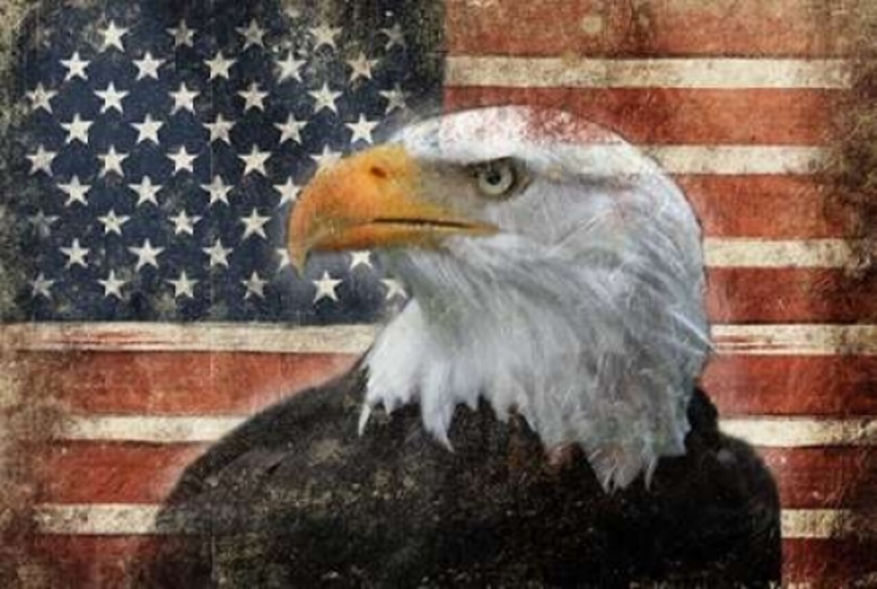 Eagle and Flag Poster Print by Jace Grey - Item # VARPDXJGRC461A